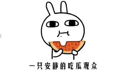 吃瓜了是啥意思,网络热词背后的文化现象